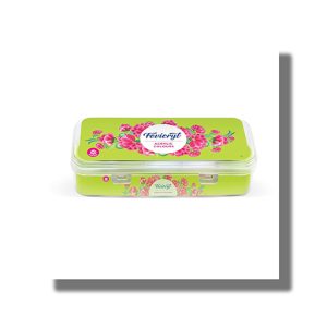 Fevicryl Sunflower Kit Acrylic Colours 10 Shades