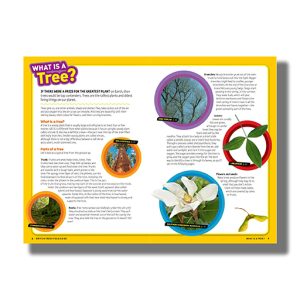 Ultimate Explorer Field Guides British Trees | Find Adventure Have Fun Outdoors Be A Tree Detective | Book Paperback (National Geographic Kids)
