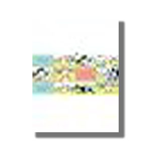 Bluey Zoo | Book Paperback (Bluey)