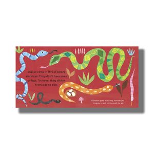 Hello World | Reptiles Board Book (Jill Mcdonald)