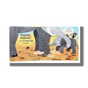 Elephant Elephant  What Big Ears You Have! Peep & Pop | Board Book (Campbell)