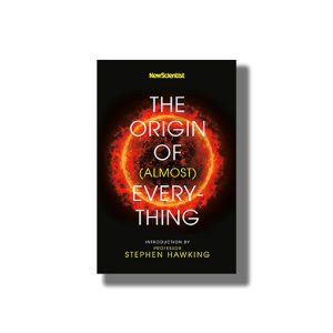 Origin Of (Almost) Everything | Book Paperback (Stephen Hawking)