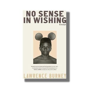 No Sense in Wishing | Essays | Book Hardcover (Lawrence Burney)