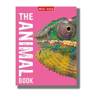 Animal Book | Book Hardcover (Shree)