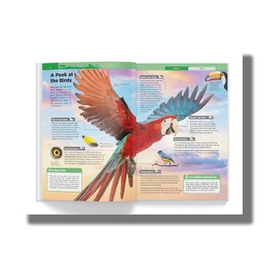 Knowledge Encyclopedia Animals | Book Hardcover (Wonder House Book)