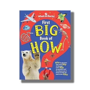 First Big Book of How | Book Hardcover (Sally Symes)