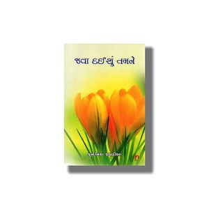 Java Daishu Tamne | Gujarati Book Paperback (Kundanika Kapadia)