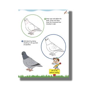 How To Draw Birds Step By Step | Book Paperback (Om Kidz)