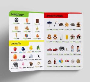 My First All In One (English - Hindi) | Board Book (Wonder House Book)